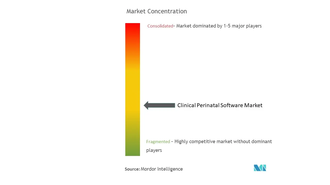 Clinical Perinatal Software Market Concentration