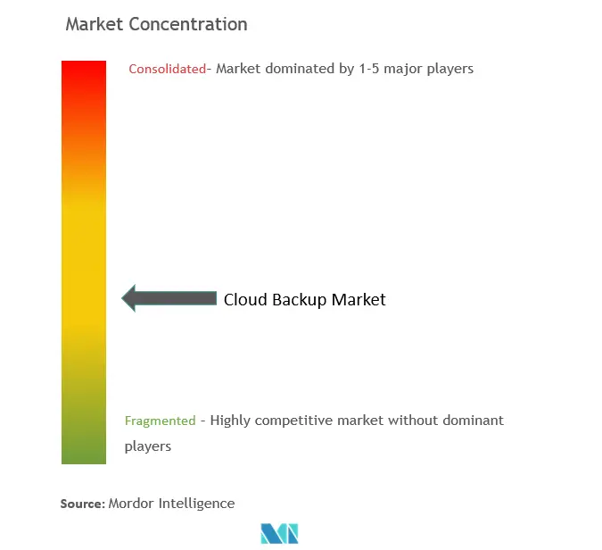 Cloud Backup Market Concentration