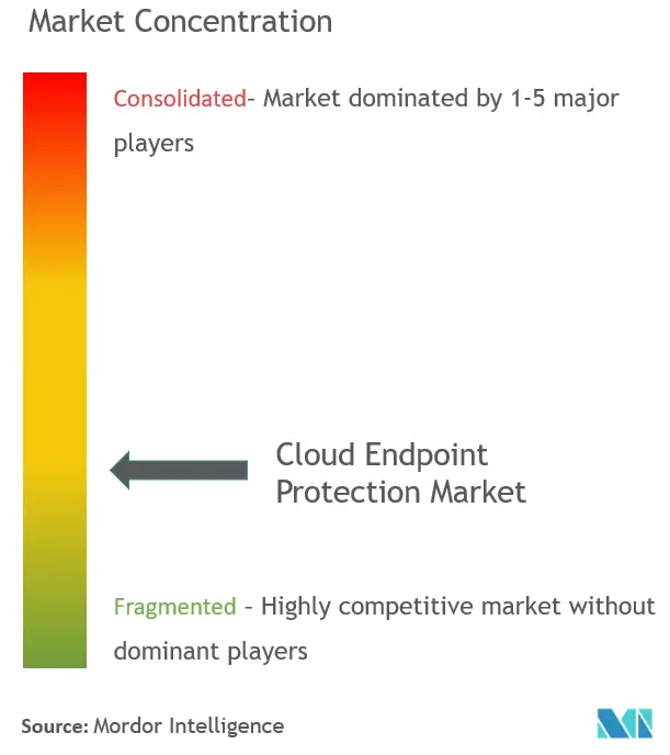 Protection des points de terminaison dans le cloudConcentration du marché