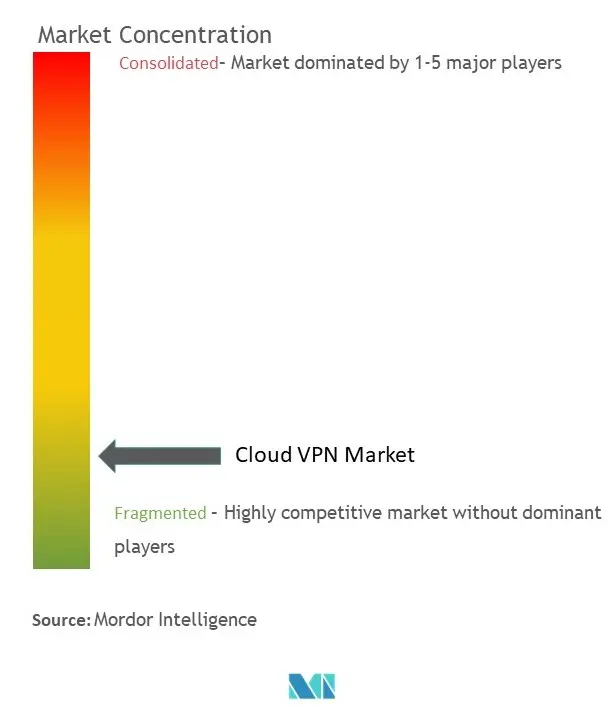 Cloud VPN Market Concentration