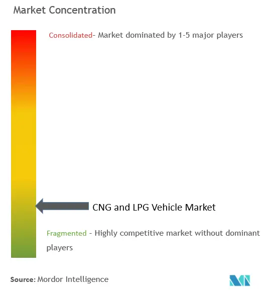 CNG and LPG Vehicle Market Concentration