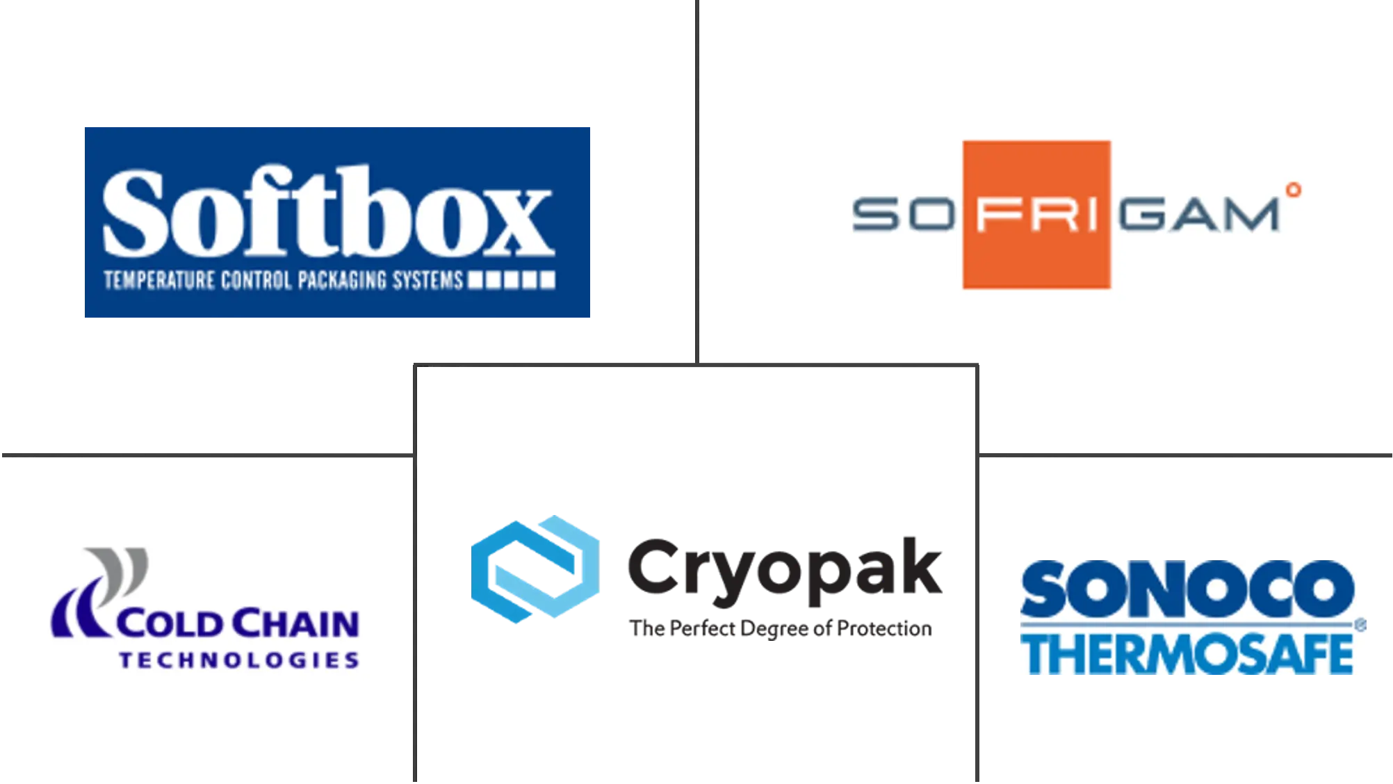 Major players in Cold Chain Packaging industry
