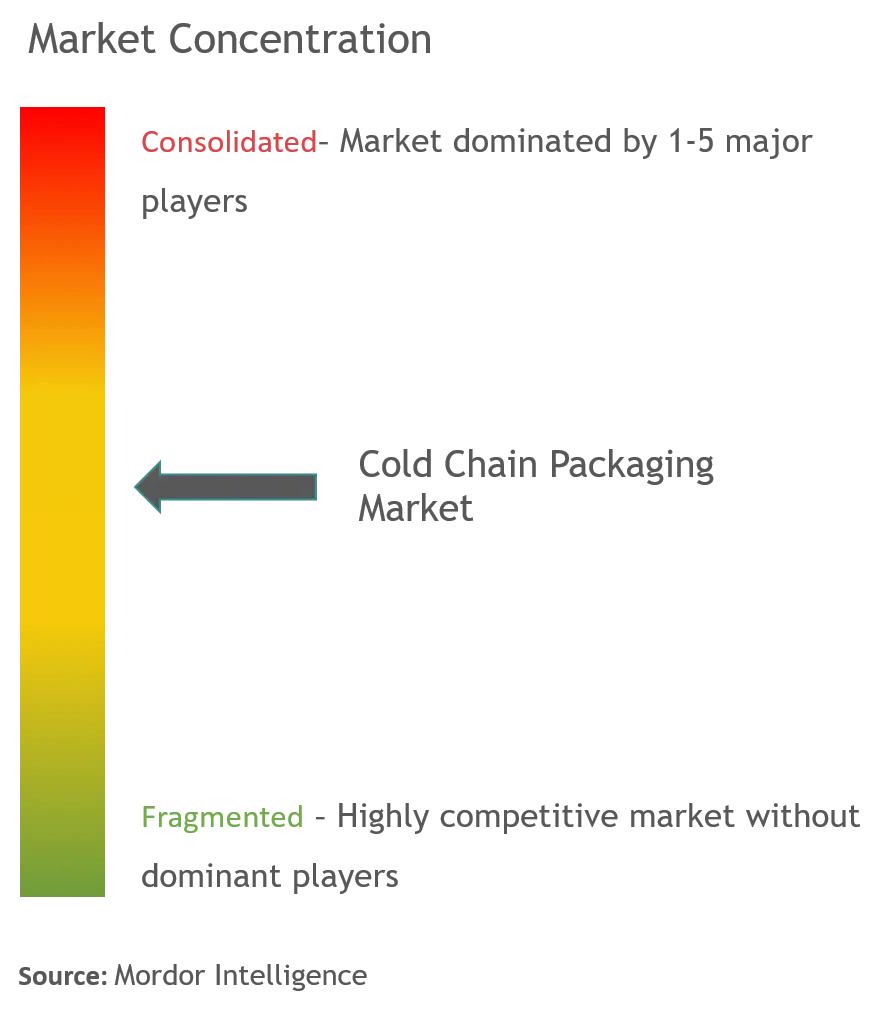 Cold Chain Packaging Market Concentration