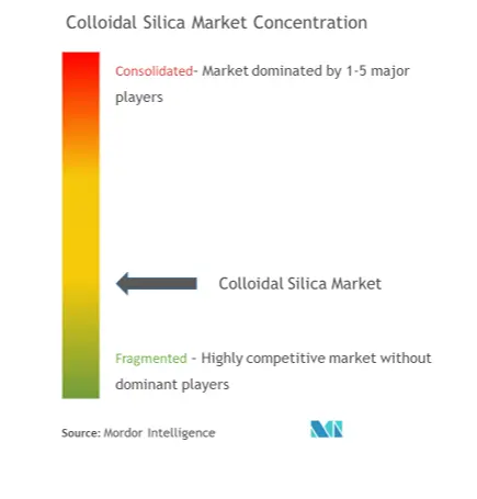 Colloidal Silica Market Concentration