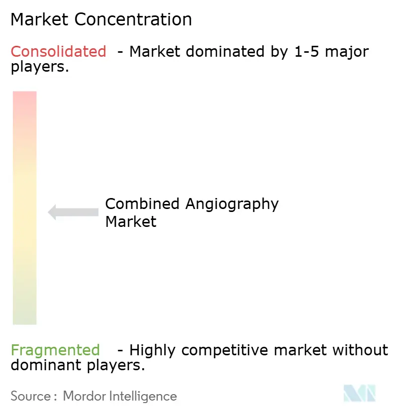 Combined Angiography Market Concentration