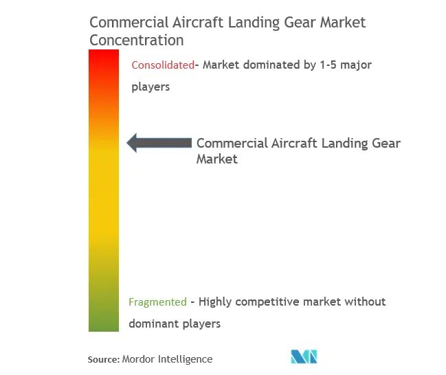 民間航空機着陸装置市場の集中度
