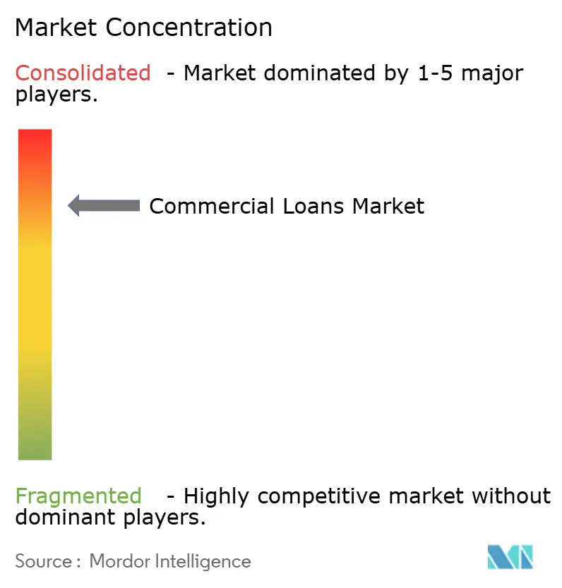 Commercial Loans Market Concentration