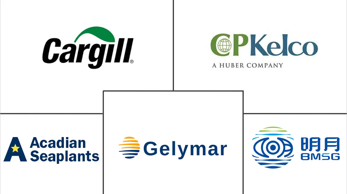 Related Companies Logo