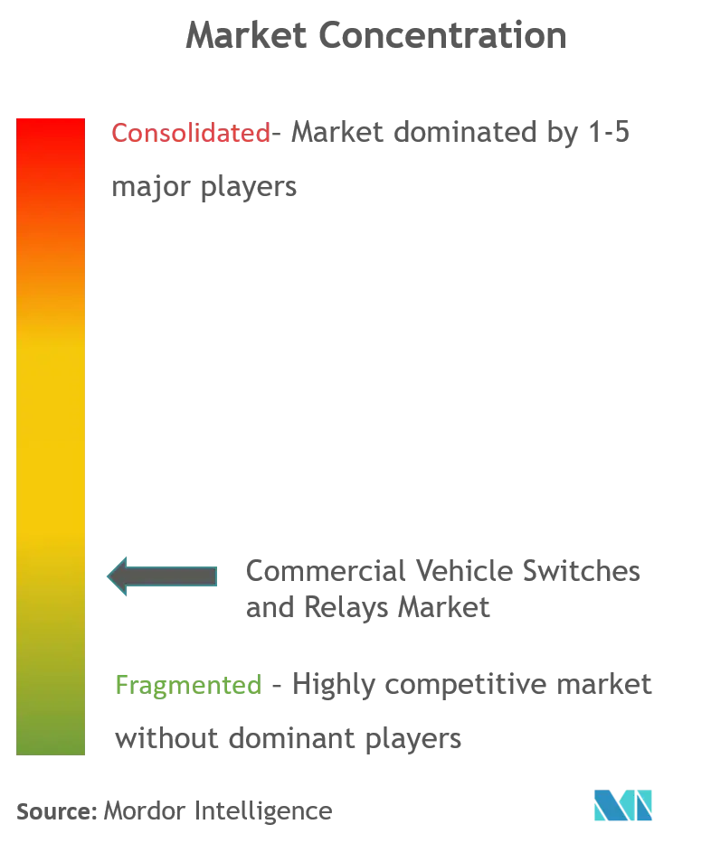 Commercial Vehicle Switches and Relays Market_Market Concentration.png
