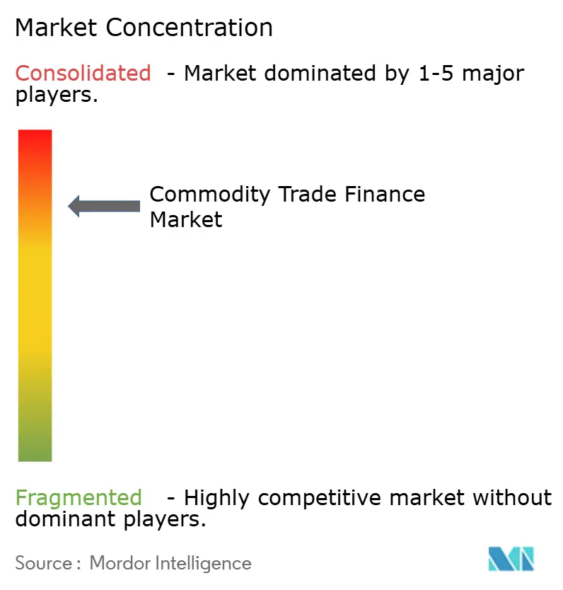 Commodity Trade Finance Market Concentration