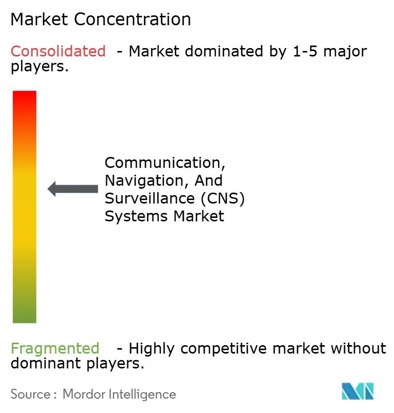 Communication, Navigation, and Surveillance (CNS) Systems Market Concentration