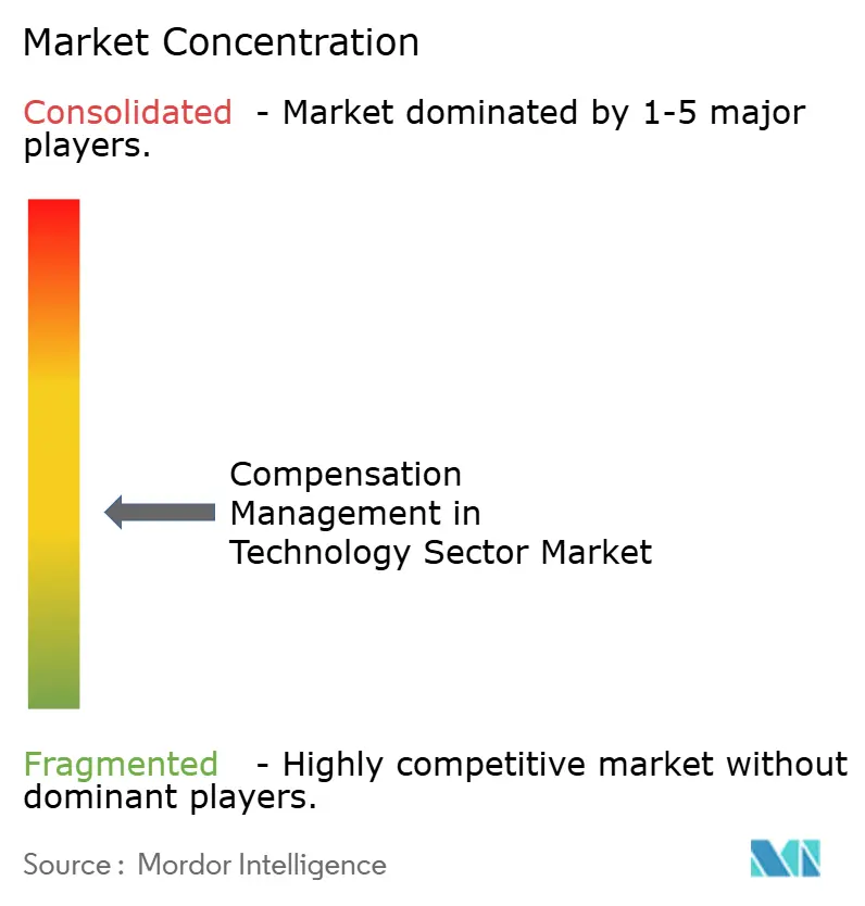 Compensation Management In Technology Sector Market