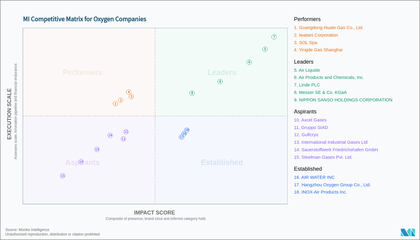 Top Oxygen Companies - Key Players & More