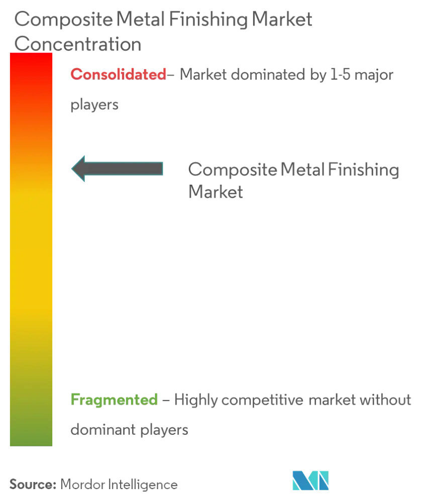 Composite Metal Finishing Market Concentration