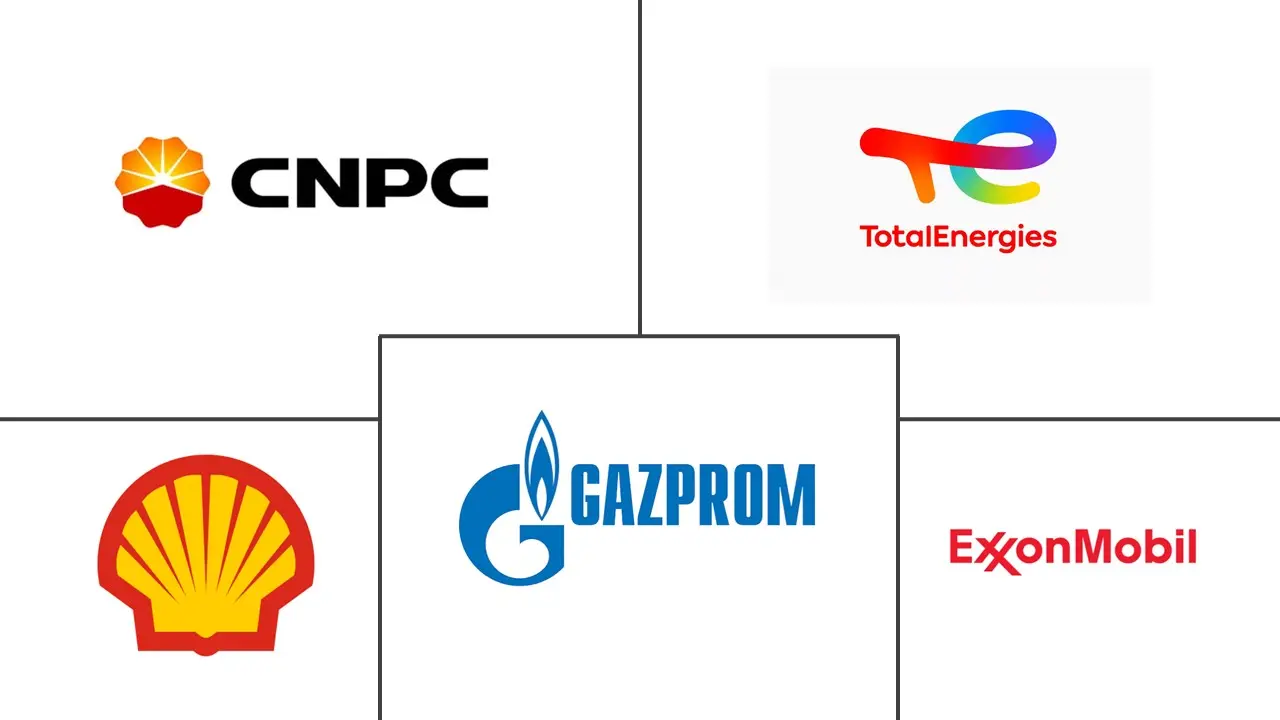 Major players in Compressed Natural Gas industry