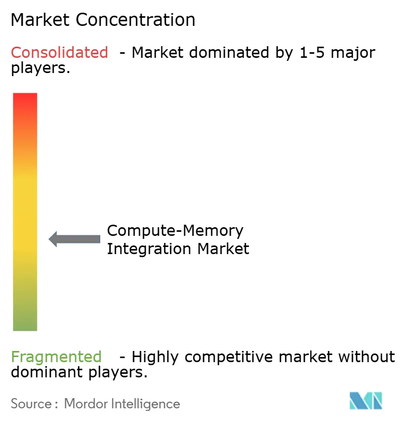 Compute-Memory Integration Markt – Marktkonzentration