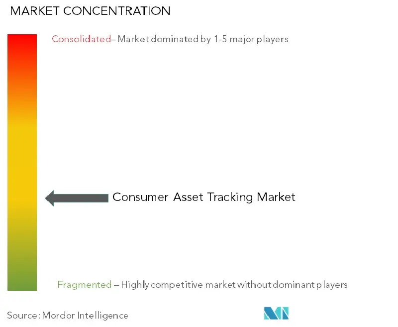 Consumer Asset Tracking Market Concentration