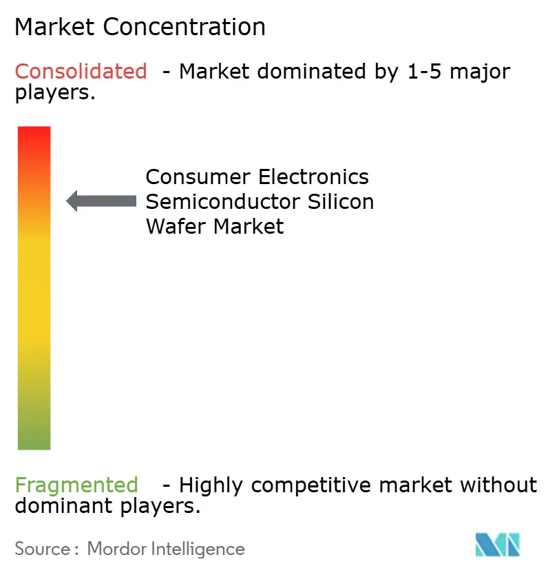Consumer Electronics Semiconductor Silicon Wafer Market Concentration
