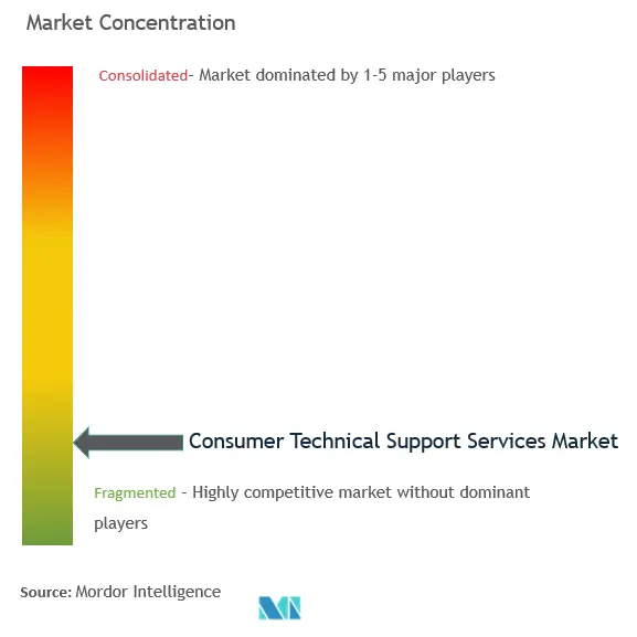 消費者向けテクニカル サポート サービス市場集中度