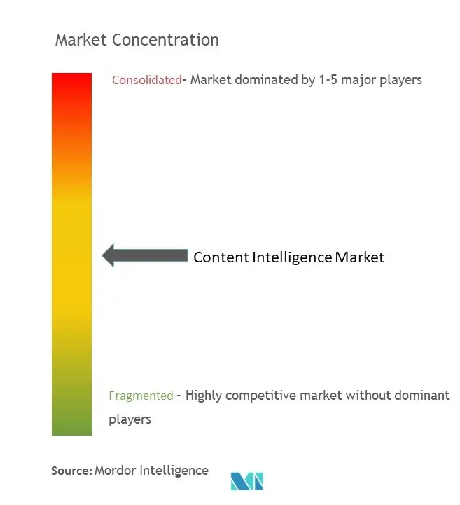 Content Intelligence Market Concentration