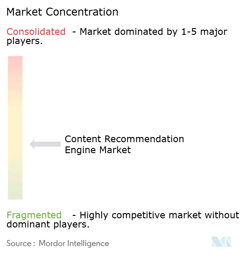 Content Recommendation Engine Market Concentration