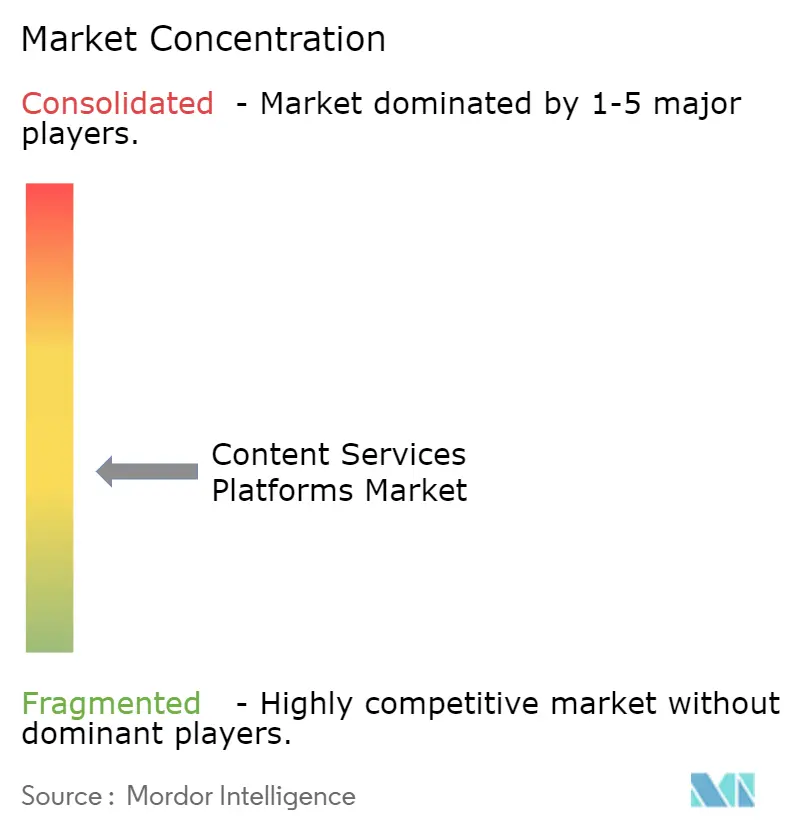 Content Services Platforms Market Concentration