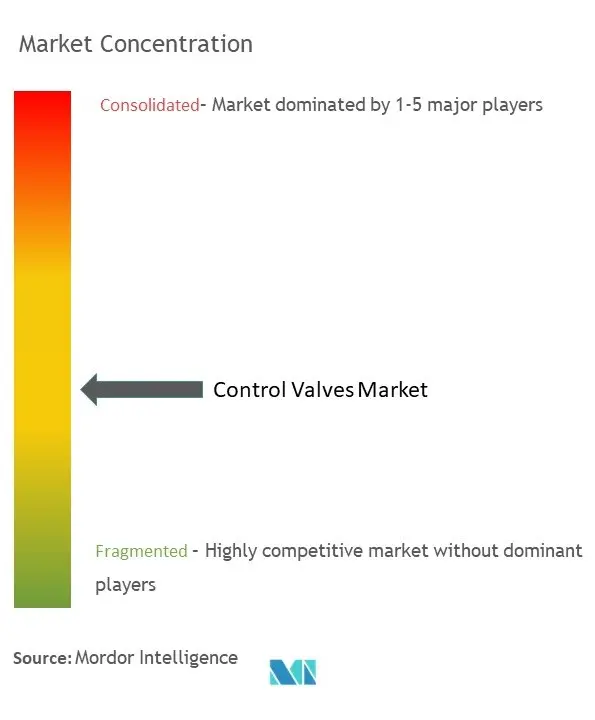 Control Valve Market Concentration
