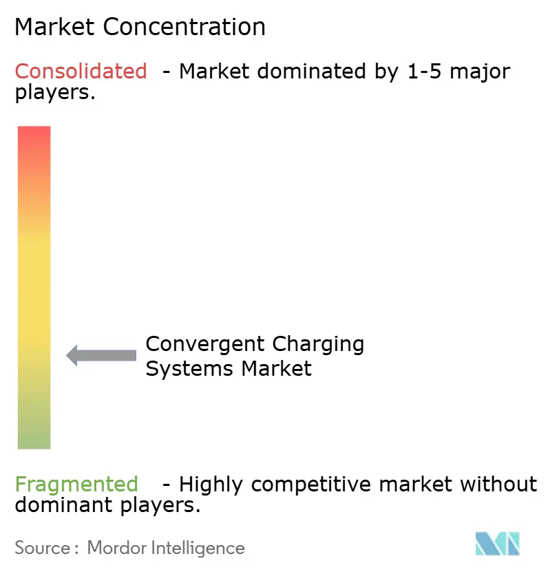 Convergent Charging Systems Market Concentration
