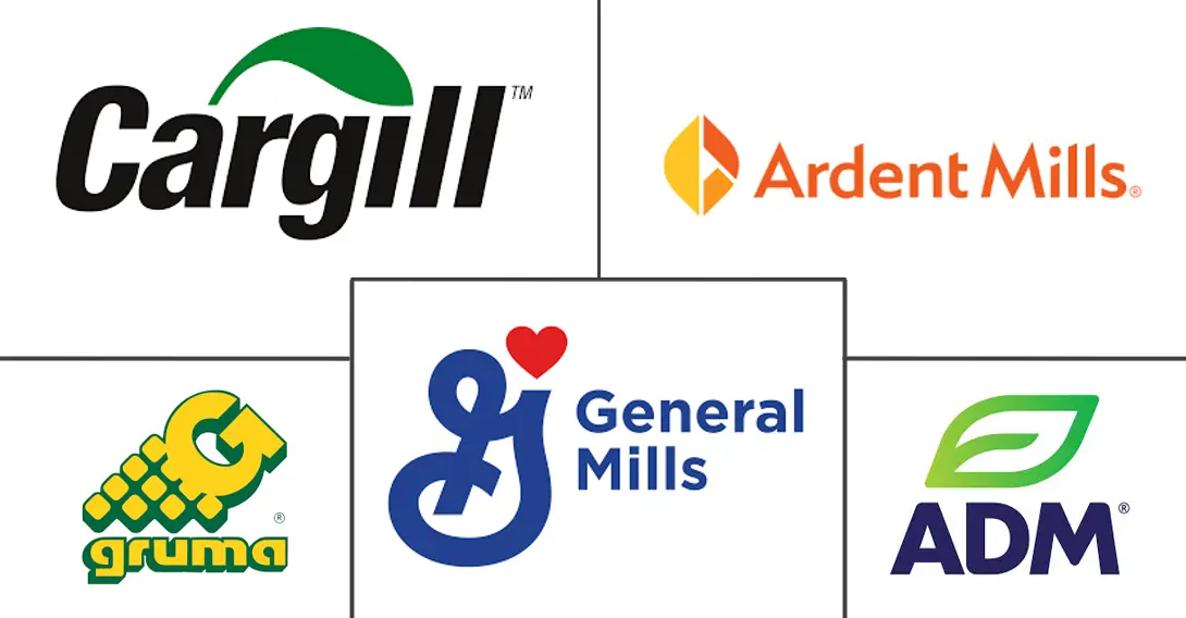Major players in Corn Flour industry