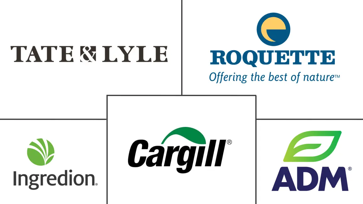 Major players in Corn Starch industry