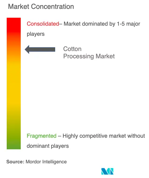 Concentración del mercado de procesamiento de algodón