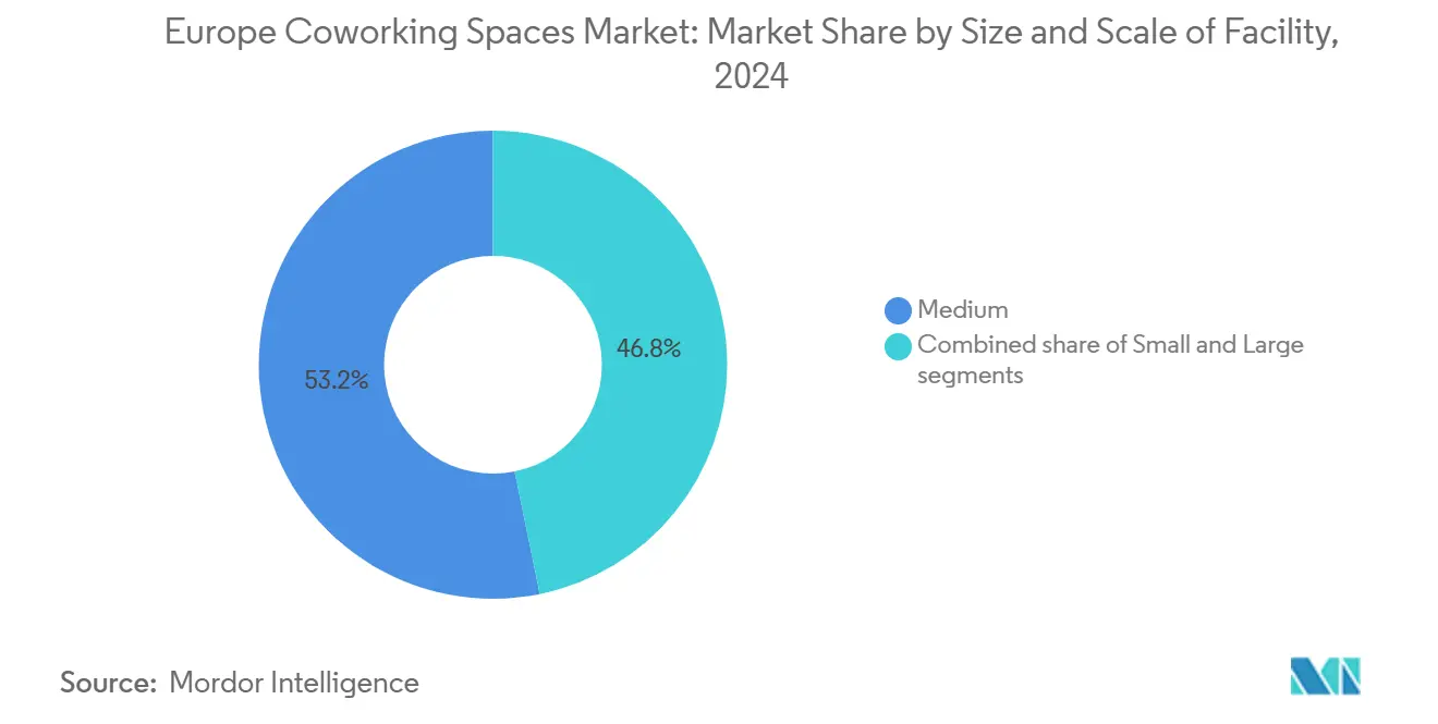 Europe Coworking Spaces Market: Market Share by Size and Scale of Facility