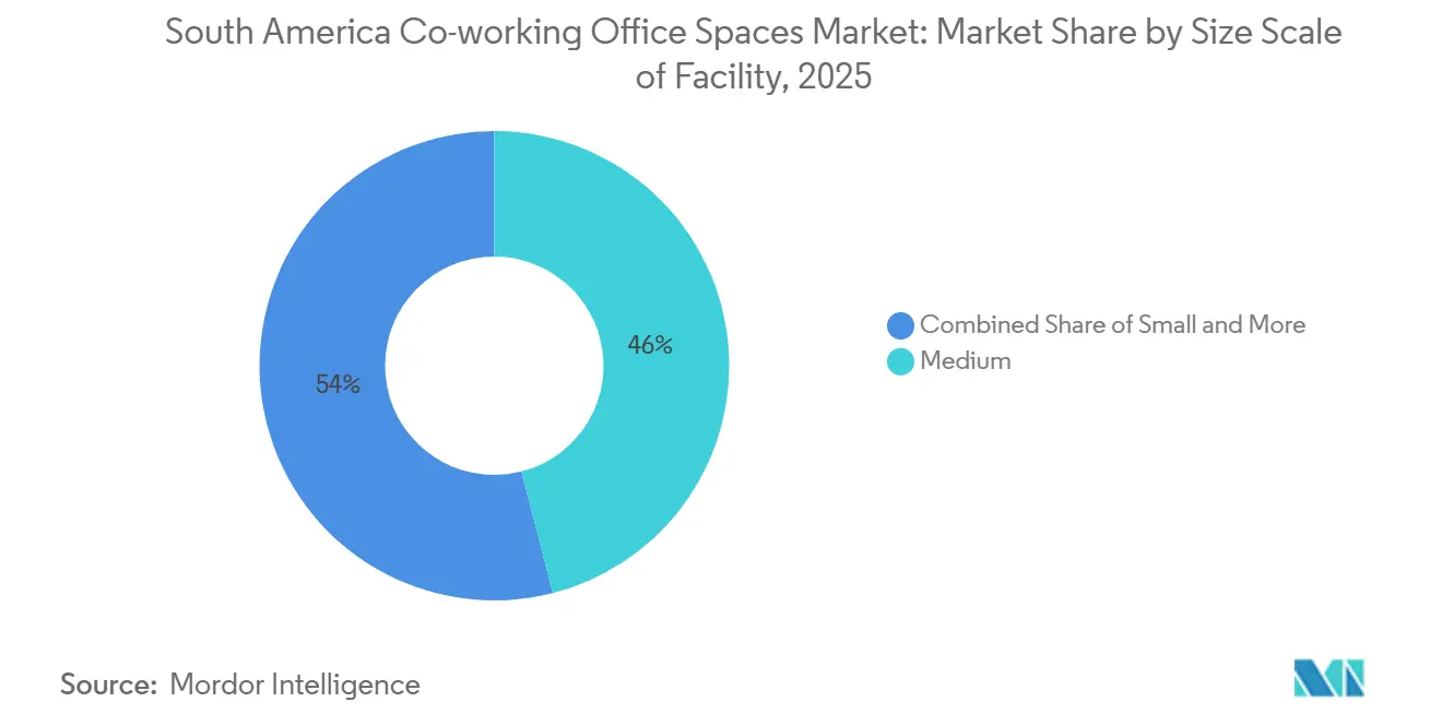 South America Co-working Office Spaces Market: Market Share by Size  Scale of Facility