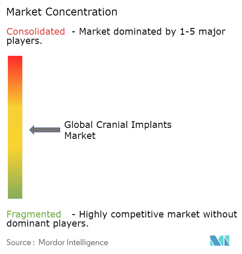 Cranial Implants Market Concentration