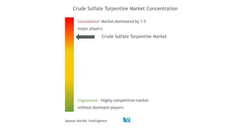 Market Concentration - Crude Sulfate Turpentine Market.png