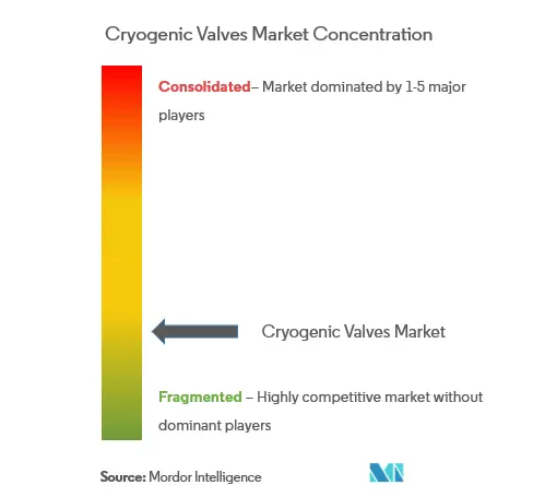 Cryogenic Valves Market Concentration