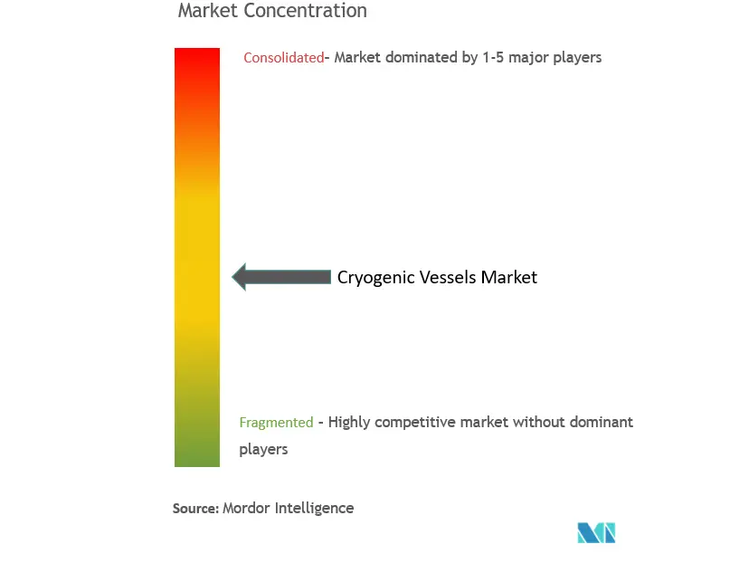 Cryogenic Vessels Market Concentration