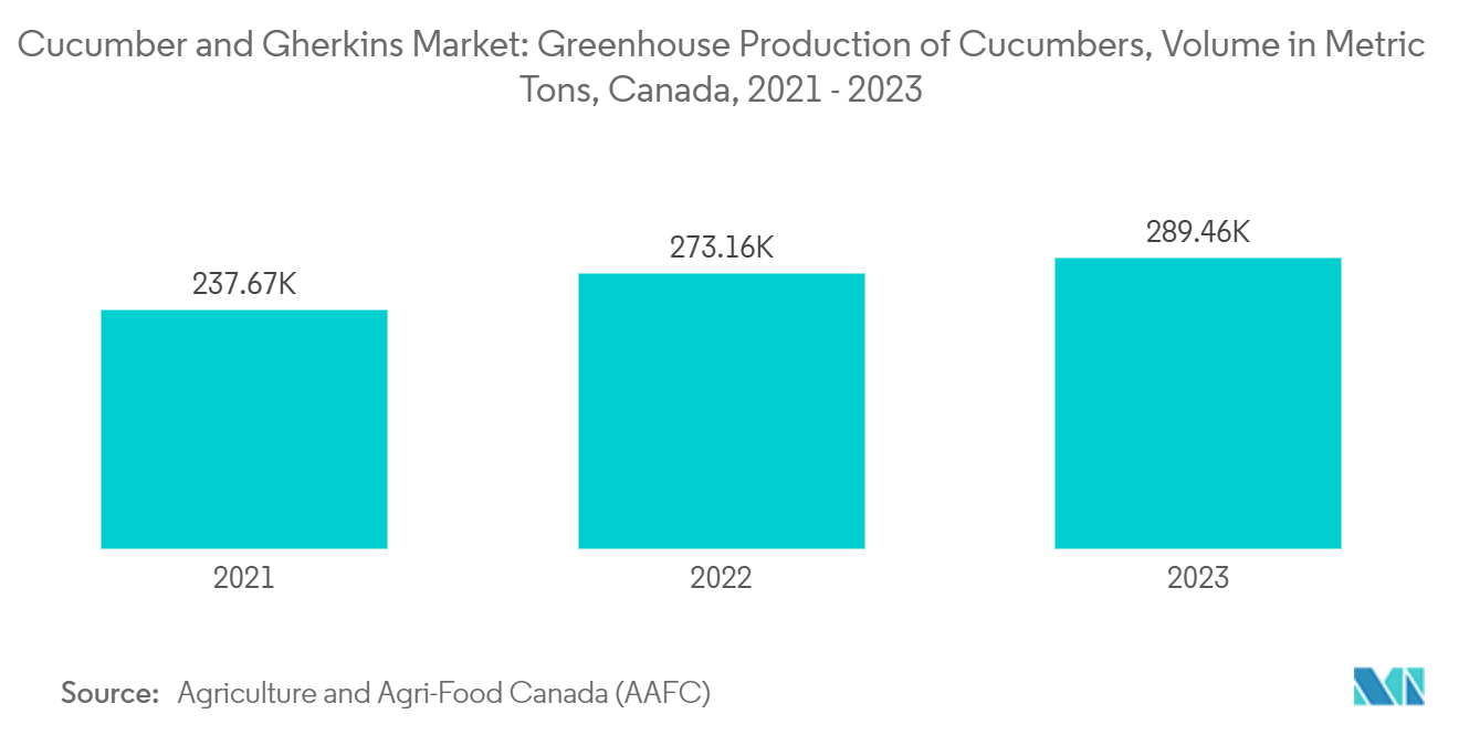 Cucumber And Gherkins Market: Cucumber and Gherkins Market: Greenhouse Production of Cucumbers, Volume in Metric Tons, Canada