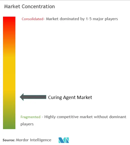 Curing Agent Market Concentration