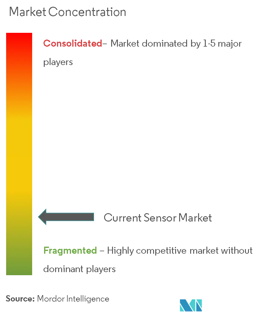 電流センサーの市場集中度
