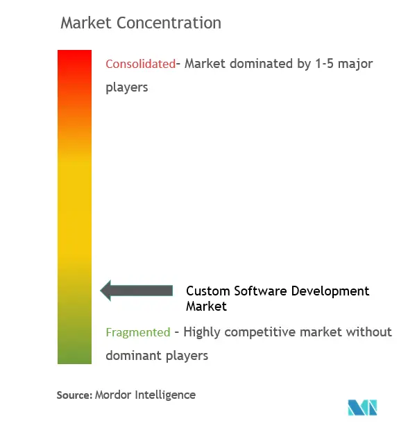 Custom Software Development Market Concentration