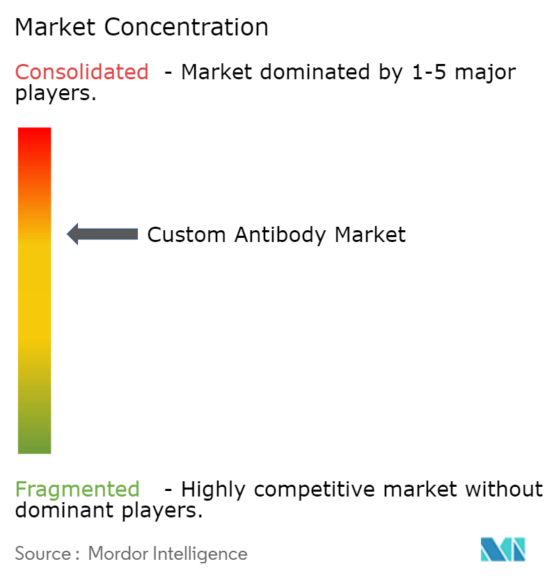 Custom Antibody Market Concentration