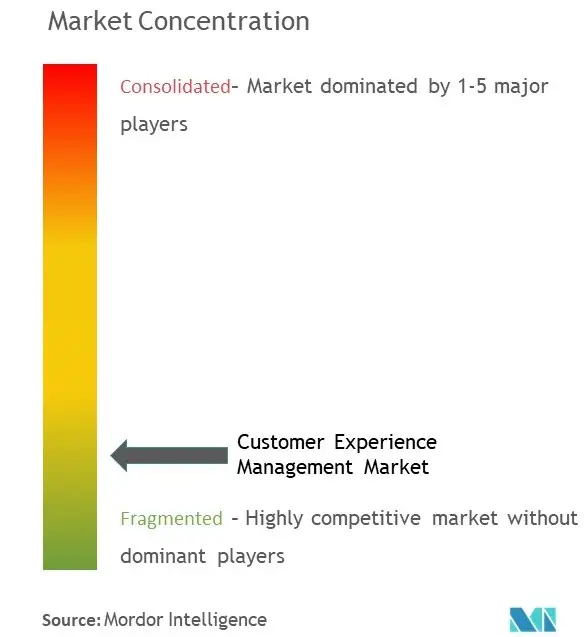 Concentración del mercado de gestión de la experiencia del cliente