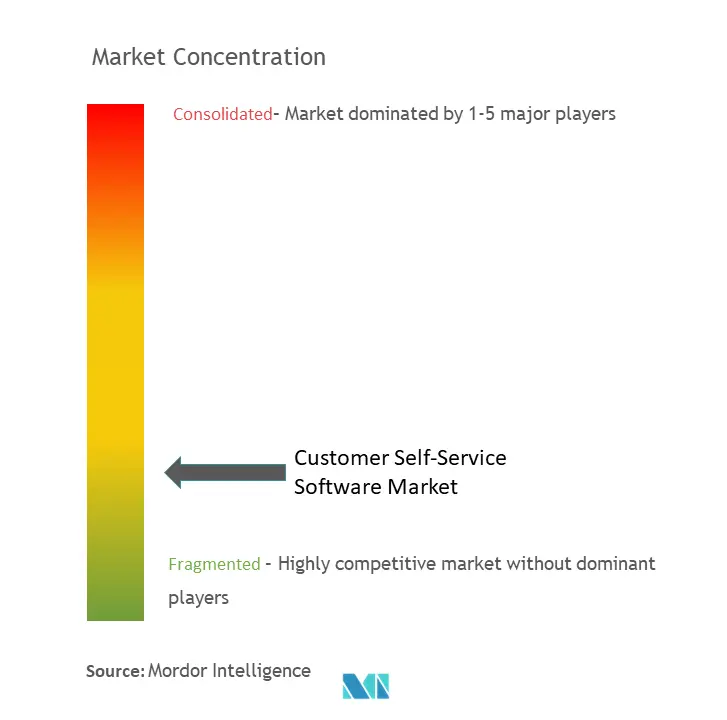 Customer Self-Service Software Market Concentration