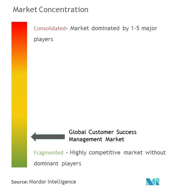 Customer Success Management Market Concentration