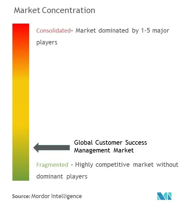 Concentração do mercado de gestão de sucesso do cliente