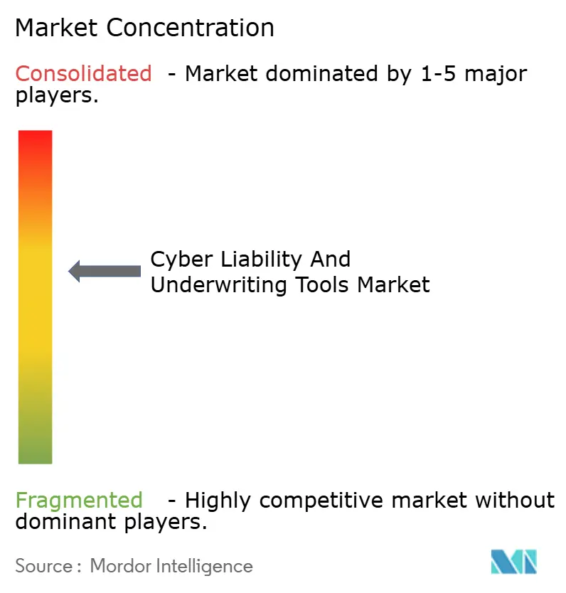 Cyber Liability and Underwriting Tools Market Concentration