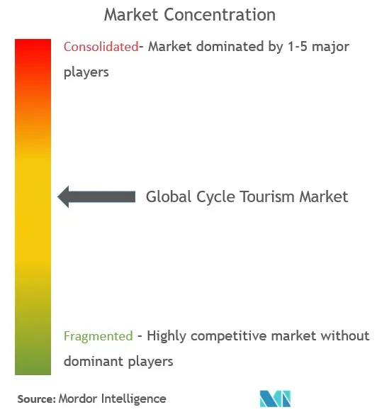 Cycle Tourism Market Concentration