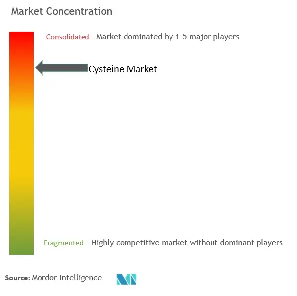 Cysteine Market Concentration