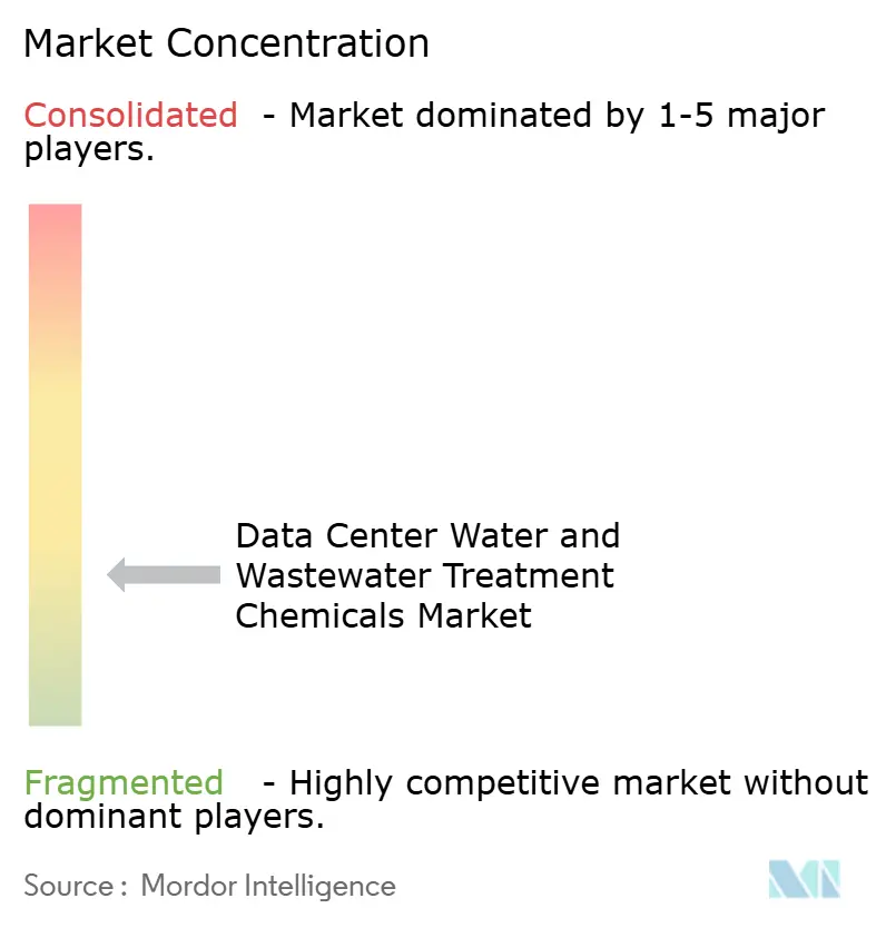 Data Center Water and Wastewater Treatment Chemicals Market Concentration
